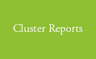 cluster-reports.jpg